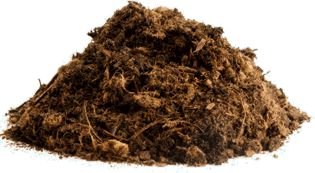 mulch